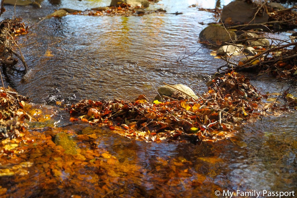 Vive la naturaleza, siente la aventura. 5 Escapadas Desde Barcelona De Un Solo Dia My Family Passport