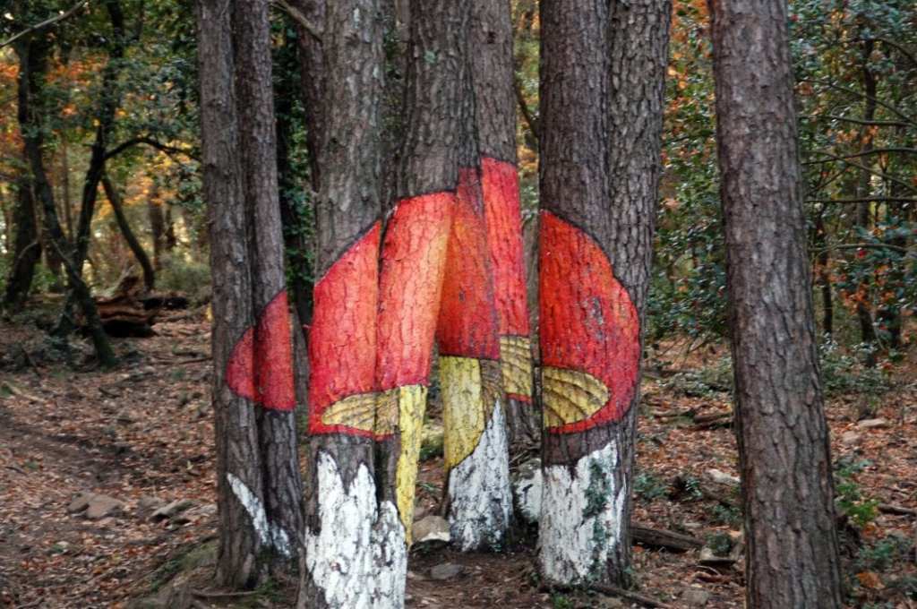 Exploring Excursion Barcelona Niños Packages