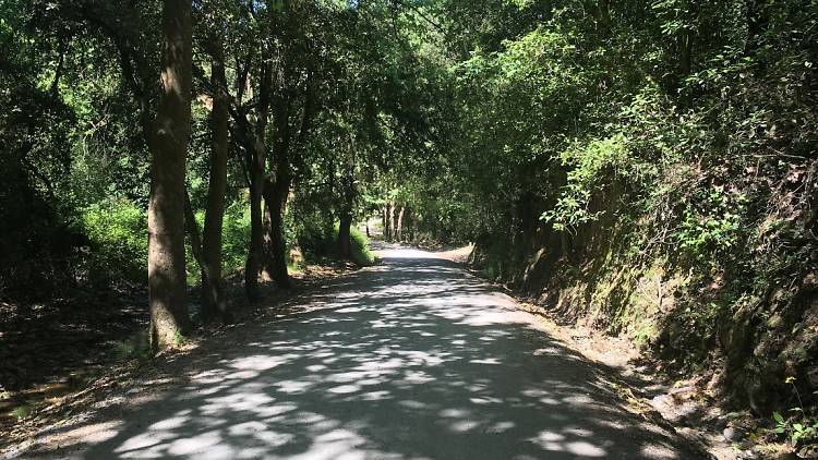 39+ Excursion Naturaleza Barcelona&nbsp;Package